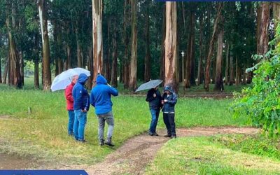 EUROPEOS DE CICLOCROSS DE PONTEVEDRA: PLANIFICACIÓN DE LA COBERTURA TELEVISIVA Y PROGRAMA DE COMPETICIÓN